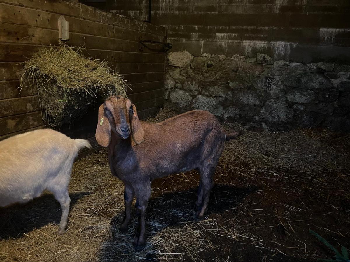 ホテルTor Royal Farm プリンスタウン エクステリア 写真